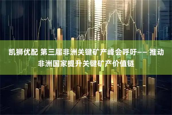 凯狮优配 第三届非洲关键矿产峰会呼吁—— 推动非洲国家提升关键矿产价值链