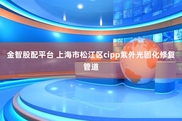 金智股配平台 上海市松江区cipp紫外光固化修复管道