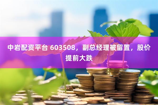 中岩配资平台 603508，副总经理被留置，股价提前大跌