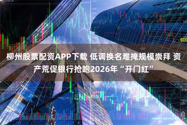 柳州股票配资APP下载 低调换名难掩规模崇拜 资产荒促银行抢跑2026年“开门红”