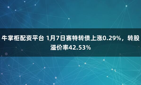 牛掌柜配资平台 1月7日赛特转债上涨0.29%，转股溢价率42.53%